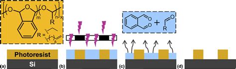 normalised thickness of positive tone photoresist was measured|Influence of material and process parameters in the dry .